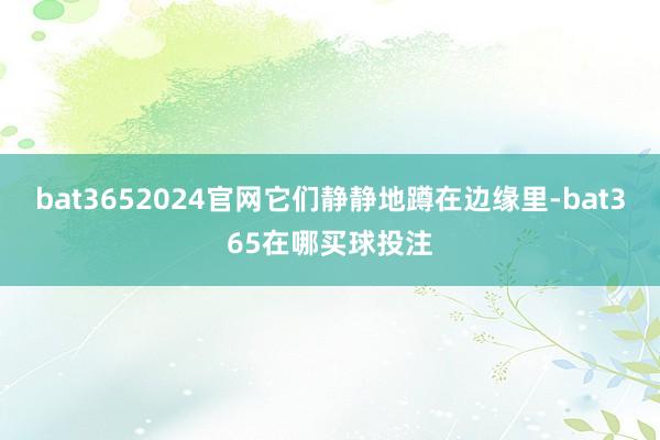 bat3652024官网它们静静地蹲在边缘里-bat365在哪买球投注