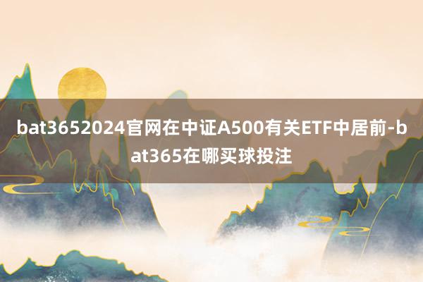 bat3652024官网在中证A500有关ETF中居前-bat365在哪买球投注