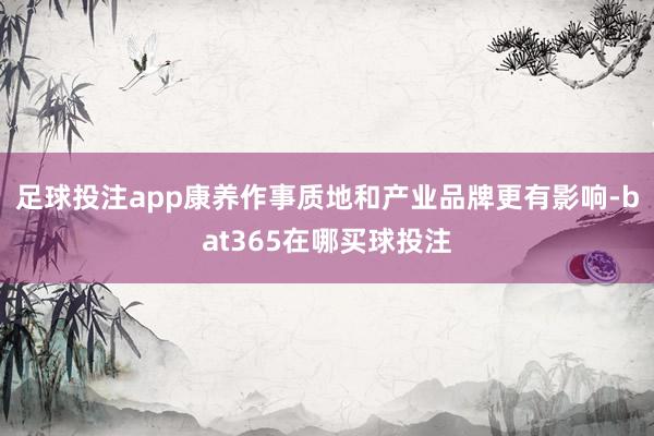 足球投注app康养作事质地和产业品牌更有影响-bat365在哪买球投注