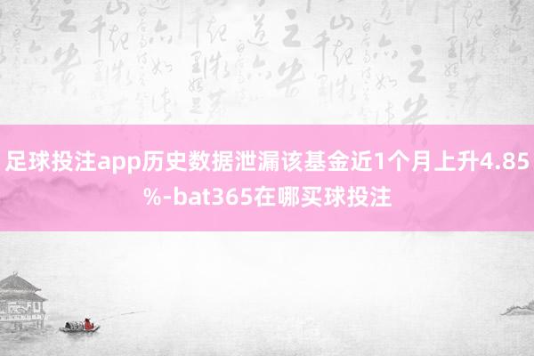 足球投注app历史数据泄漏该基金近1个月上升4.85%-bat365在哪买球投注