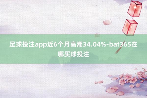 足球投注app近6个月高潮34.04%-bat365在哪买球投注
