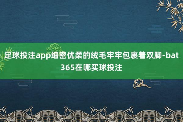 足球投注app细密优柔的绒毛牢牢包裹着双脚-bat365在哪买球投注