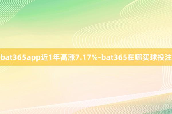 bat365app近1年高涨7.17%-bat365在哪买球投注