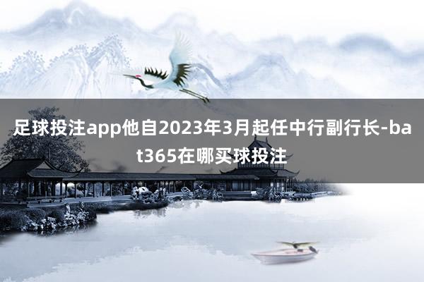 足球投注app他自2023年3月起任中行副行长-bat365在哪买球投注