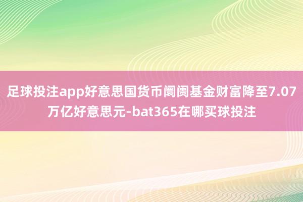 足球投注app好意思国货币阛阓基金财富降至7.07万亿好意思元-bat365在哪买球投注