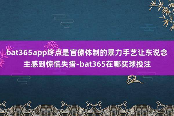 bat365app终点是官僚体制的暴力手艺让东说念主感到惊慌失措-bat365在哪买球投注