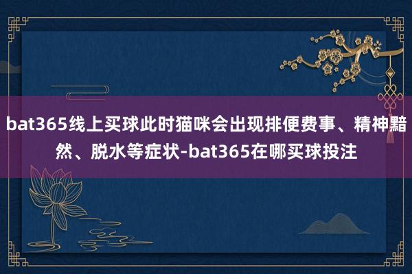 bat365线上买球此时猫咪会出现排便费事、精神黯然、脱水等症状-bat365在哪买球投注