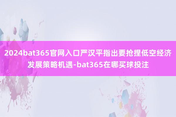 2024bat365官网入口严汉平指出要抢捏低空经济发展策略机遇-bat365在哪买球投注