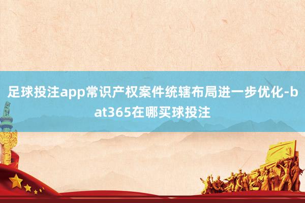 足球投注app常识产权案件统辖布局进一步优化-bat365在哪买球投注